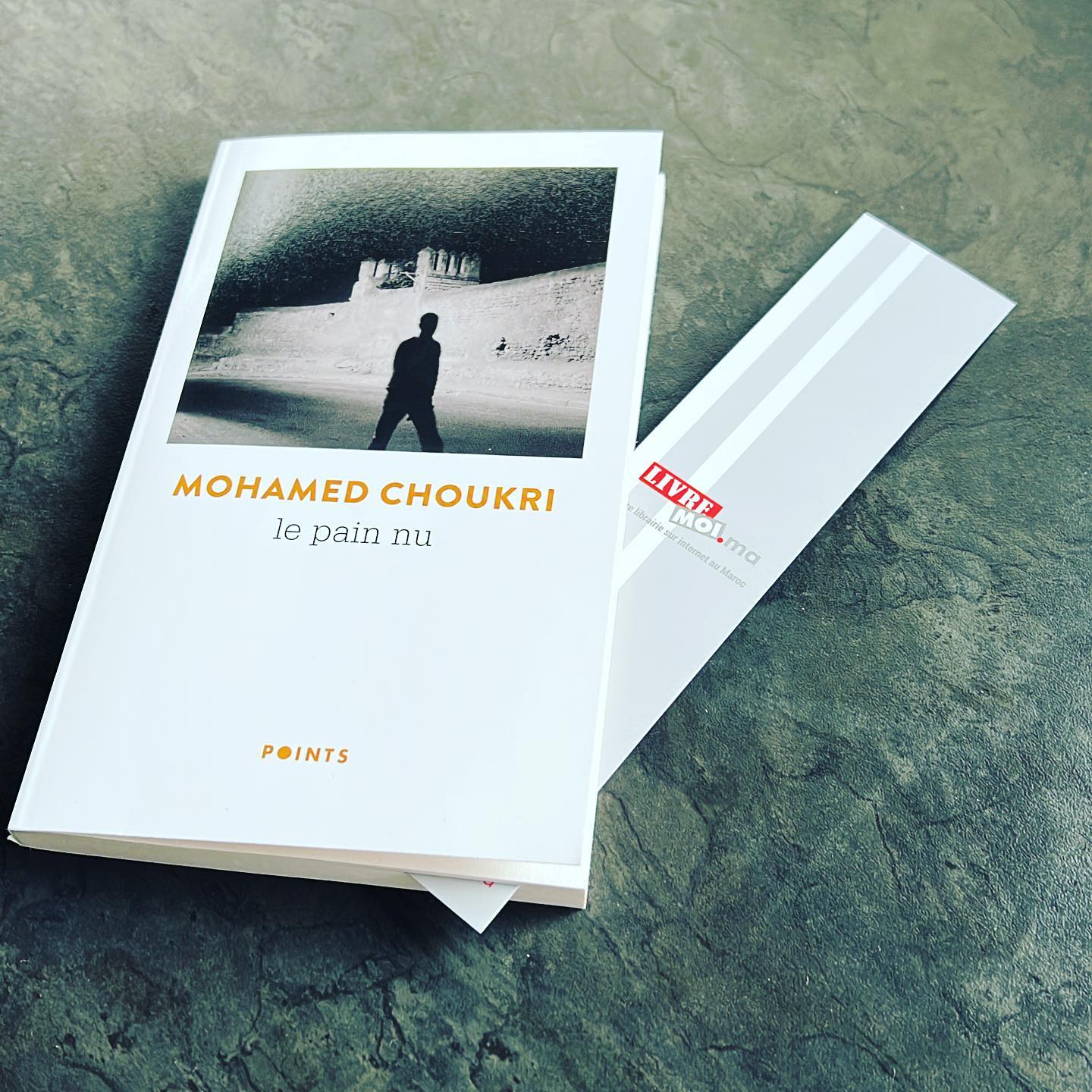 Le Pain nu de Mohamed Choukri : la misère en face