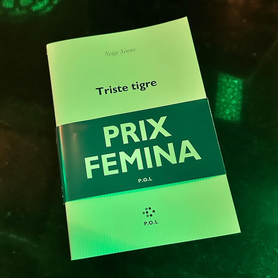 Triste tigre de Neige Sinno : le livre qui a tout raflé