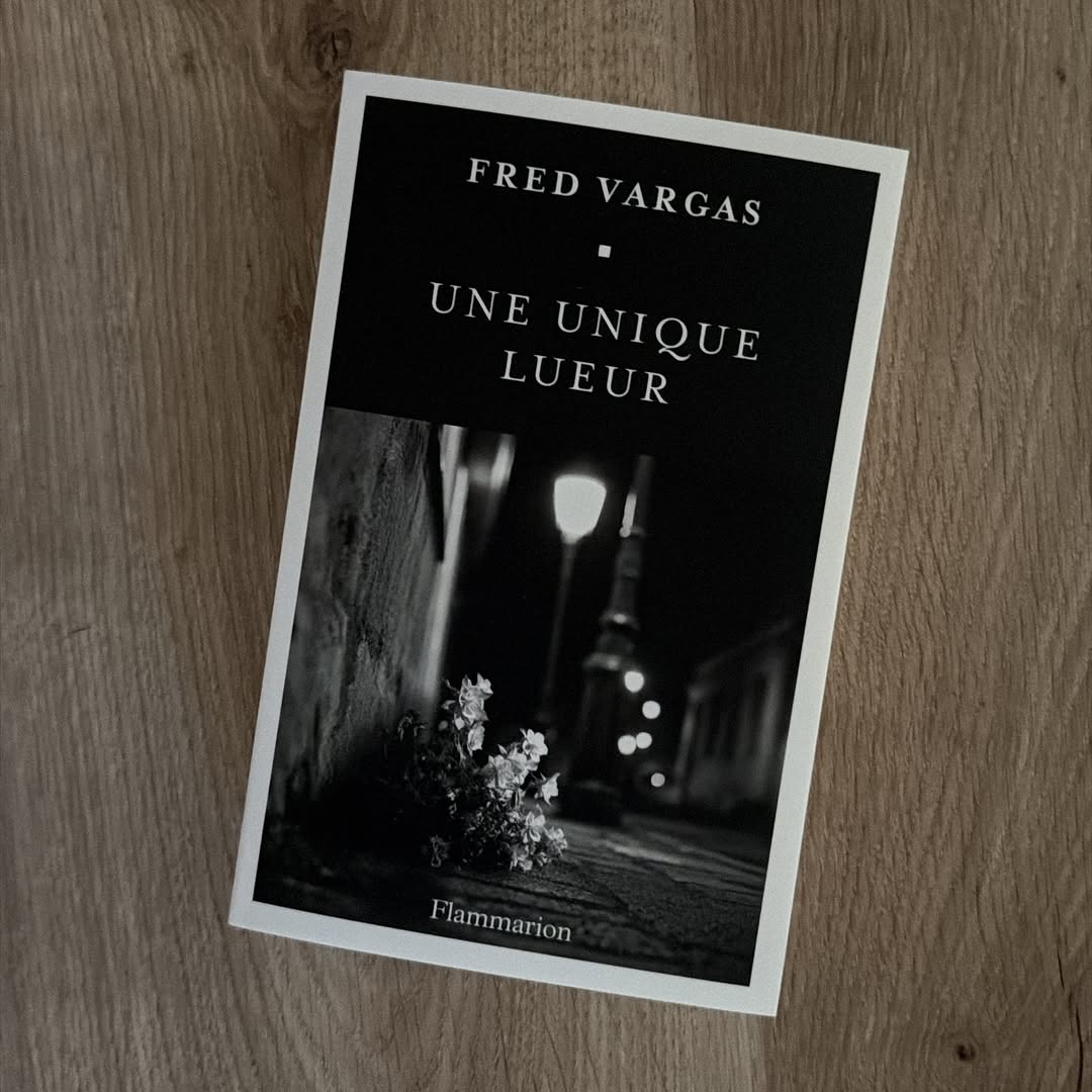 Couverture d'Une unique lueur de Fred Vargas, éditions Flammarion