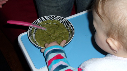 Babycook de Béaba contre Philips Avent : mon comparatif